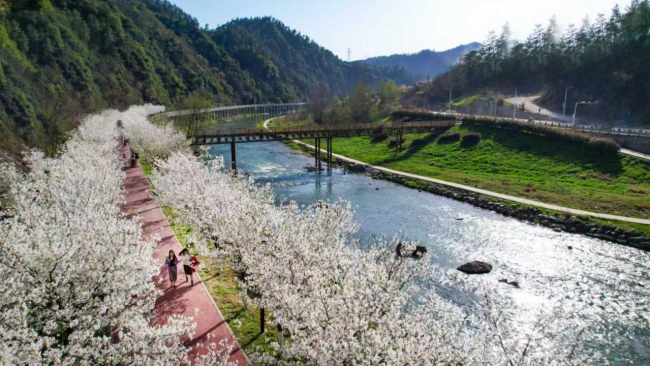 湖北郧西县城关镇：文旅农搭伙“闪金光”